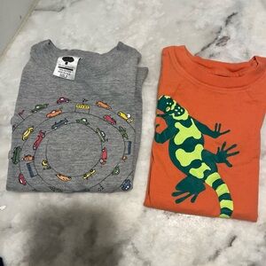 Boys Classic Everyday T-shirt Lot/2 4-5 Lands End Kids Mulberribush 100% Cotton